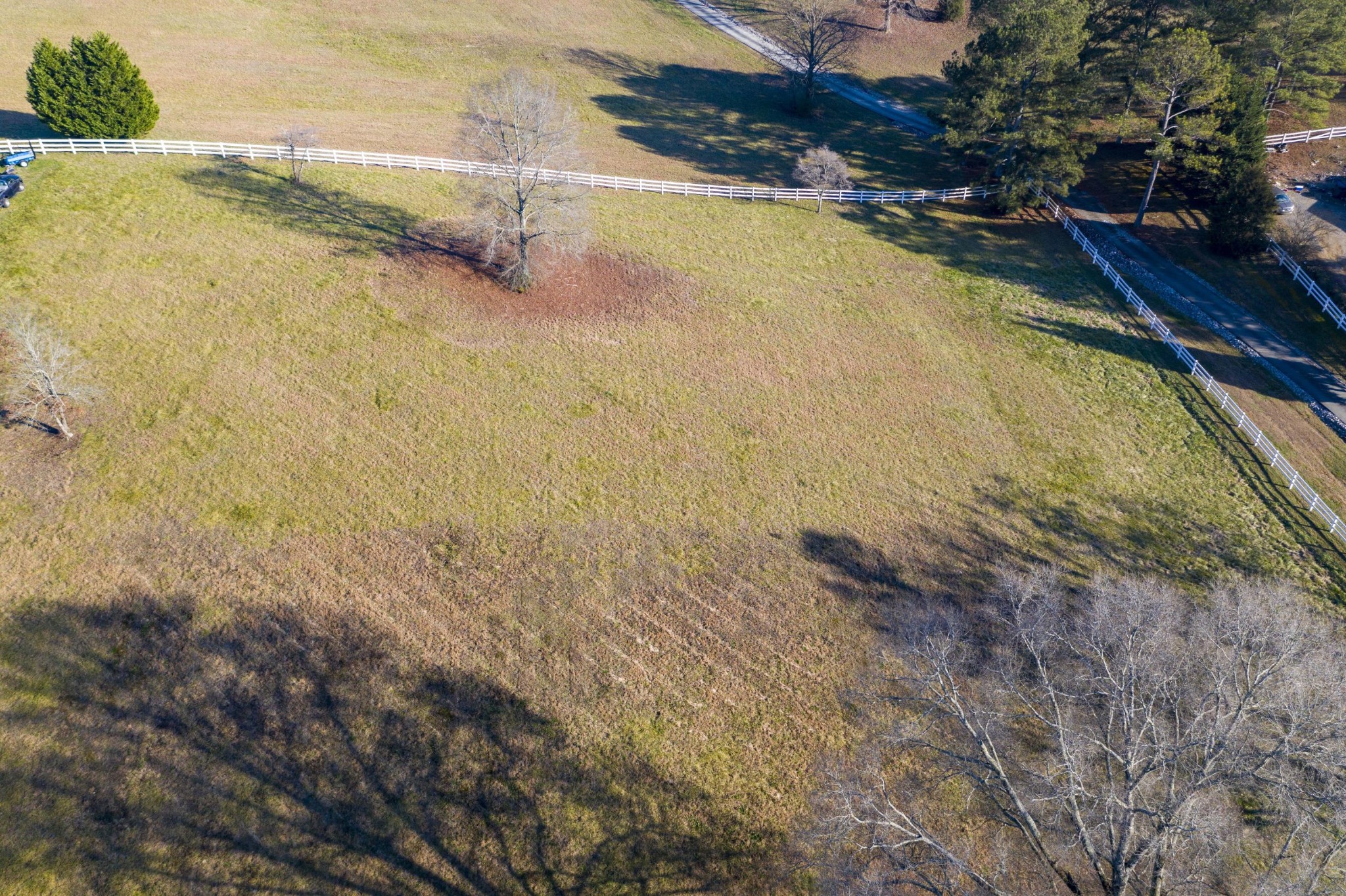 7 Grassy Branch Road Dayton, TN 37321 - Photo 6 of 10 Gallery Image 6
