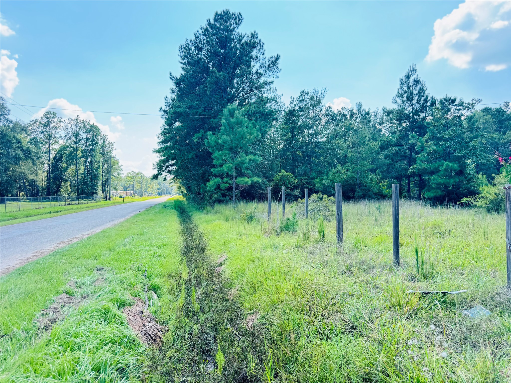 2736 Whitetail Forest Road Kountze, TX 77625 - Photo 9 of 17 Gallery Image 9