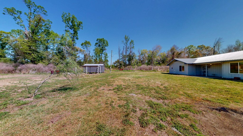 6615 State Line Road Cottonwood, AL 36320 - Photo 32 of 49