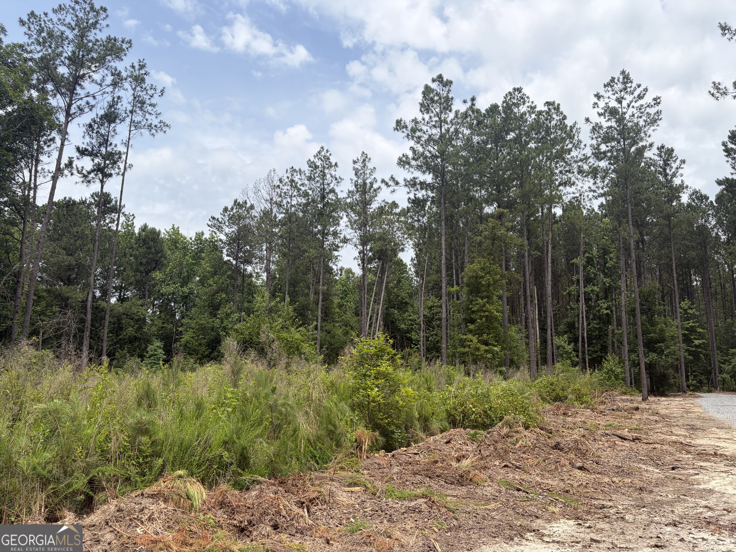 5 Sunhill Grange Road Sandersville, GA 31018 - Photo 2 of 8