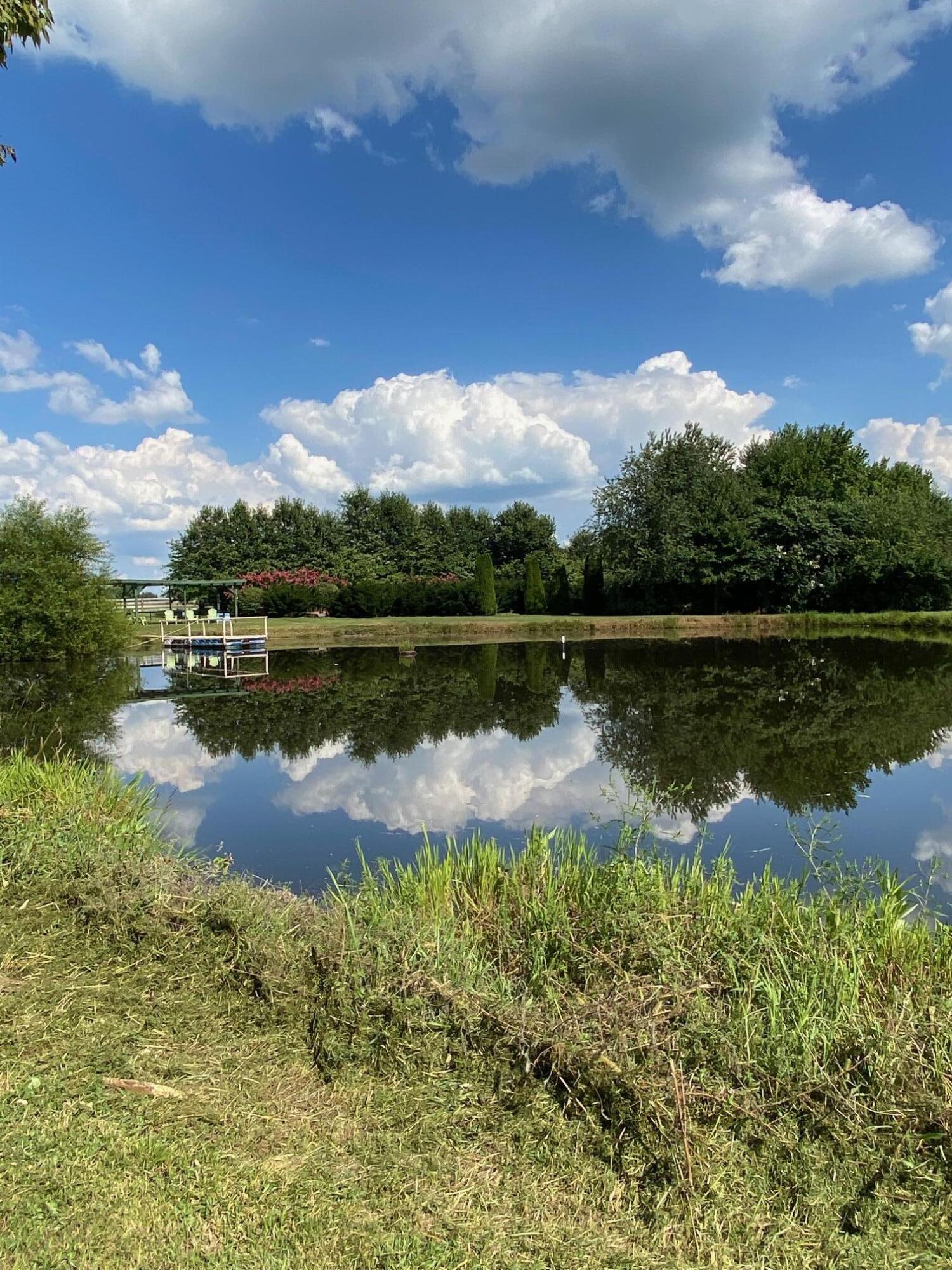 1485 McCowans Ferry Road Versailles, KY 40383 - Photo 31 of 39 pond 7