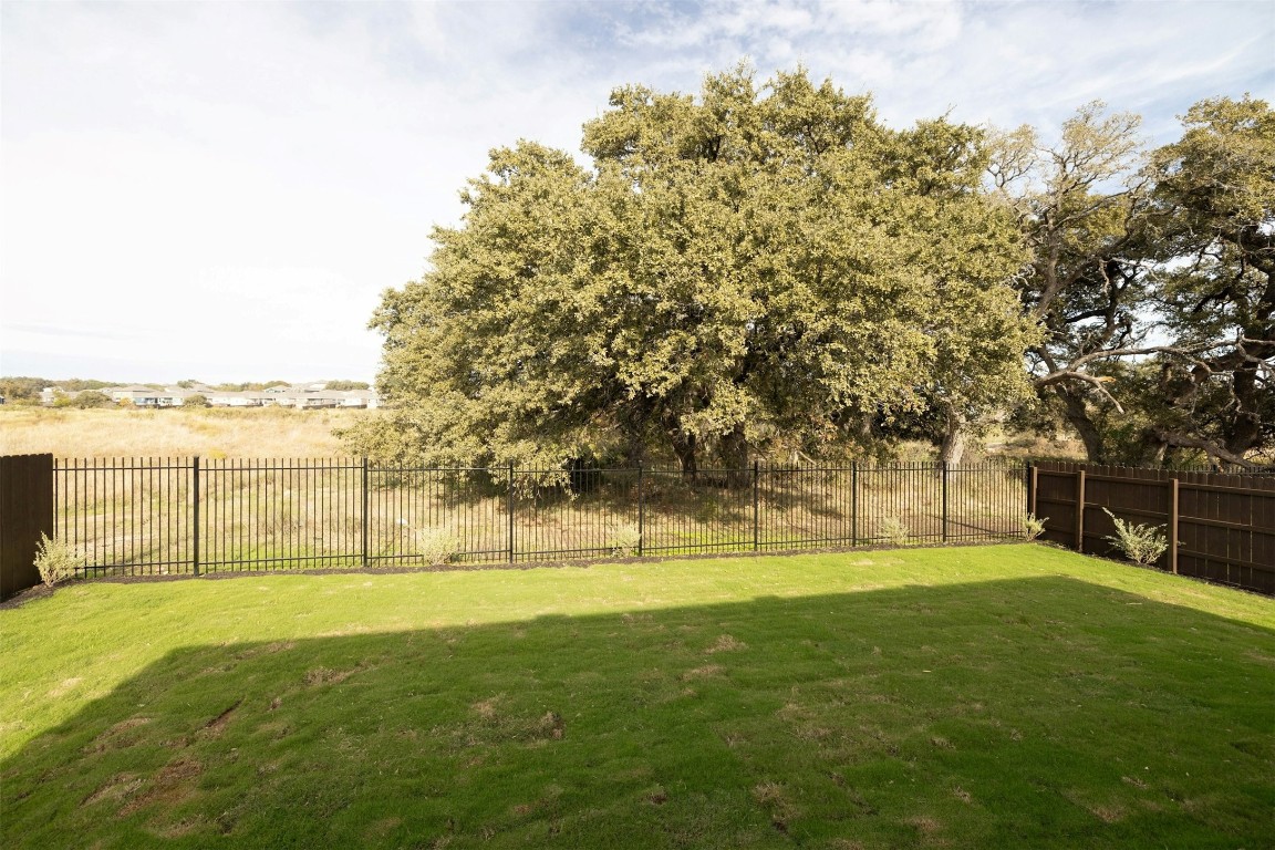 1804 Boggy Crk Rnch Road Georgetown, TX 78628 - Photo 27 of 28 a view of yard with trees