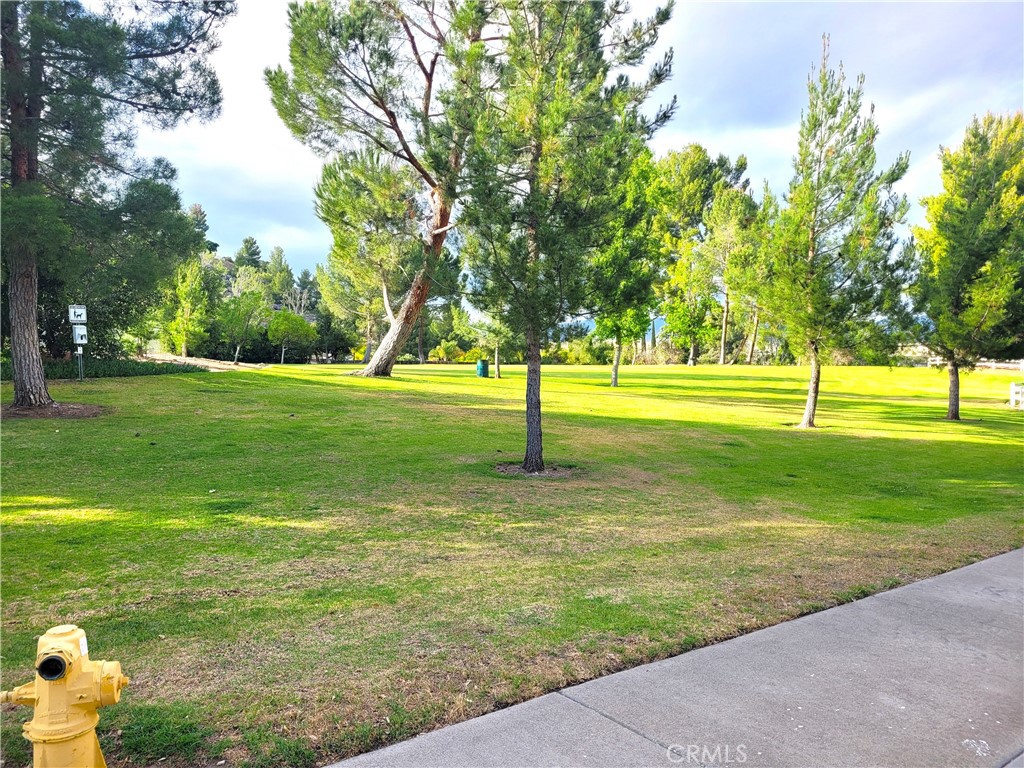 28162 Sloan Canyon Road, Unit A Castaic, CA 91384 - Photo 28 of 30 a view of a golf course with a garden