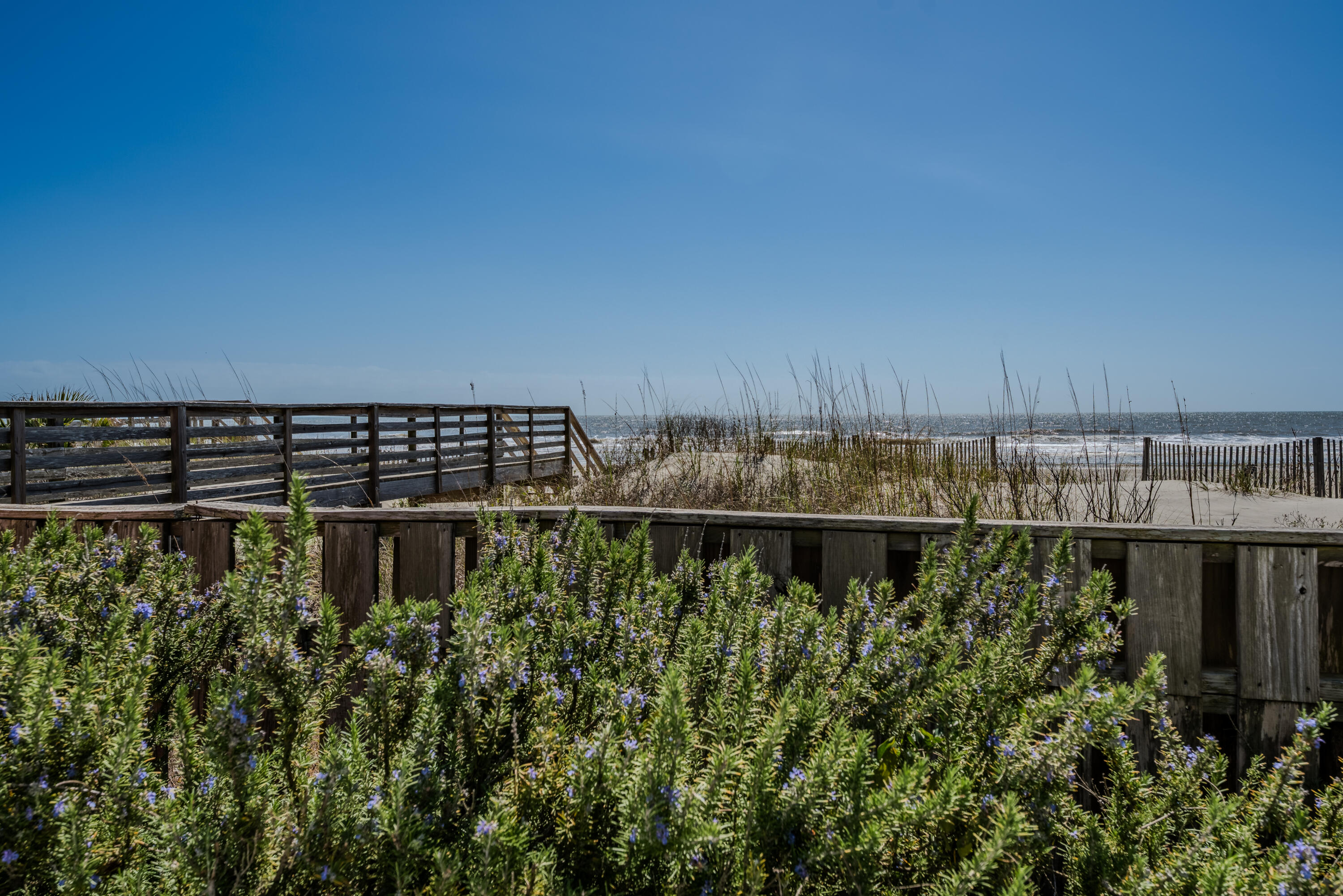 603 East Arctic Avenue Folly Beach, SC 29439 - Photo 67 of 80 603 E Arctic-3