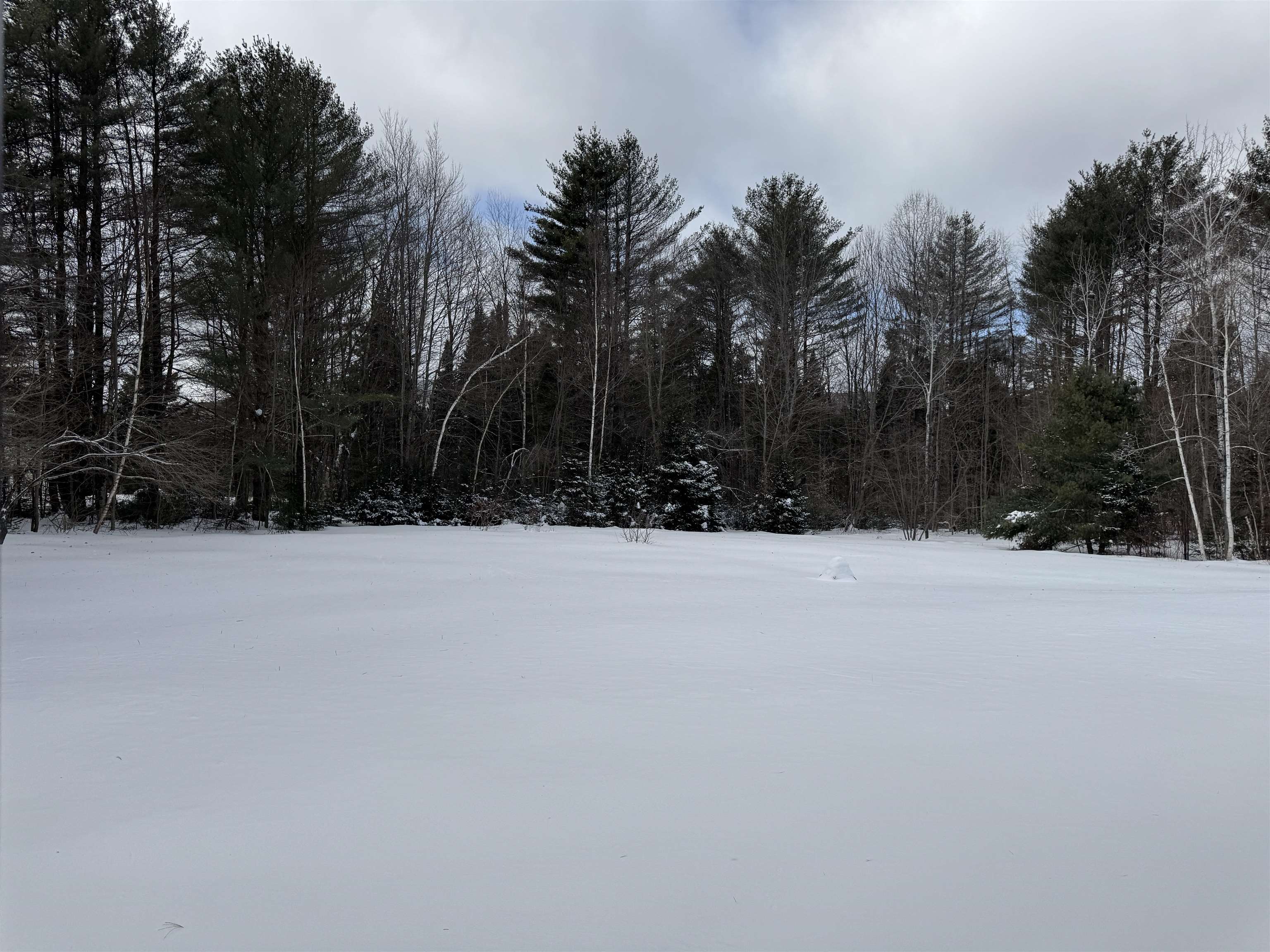 10 Meadow Brook Road Grantham, NH 03753 - Photo 2 of 19