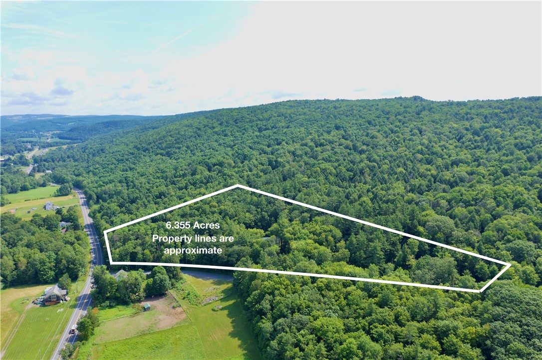 125 Airport Road Oneonta, NY 13820 - Photo 4 of 44