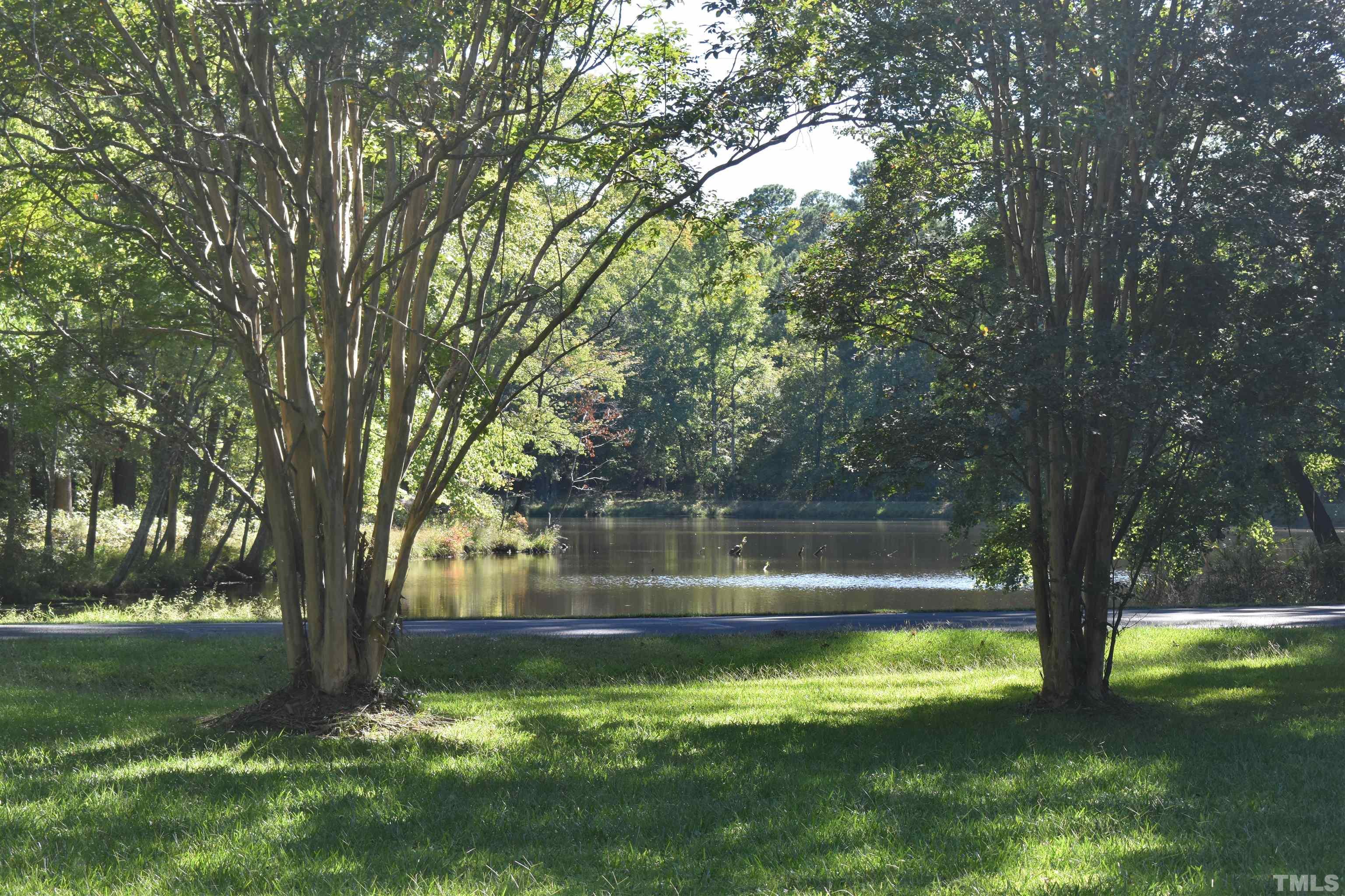 4001 Blackard Pond Road Raleigh, NC 27604 - Photo 3 of 8 a view of a lake