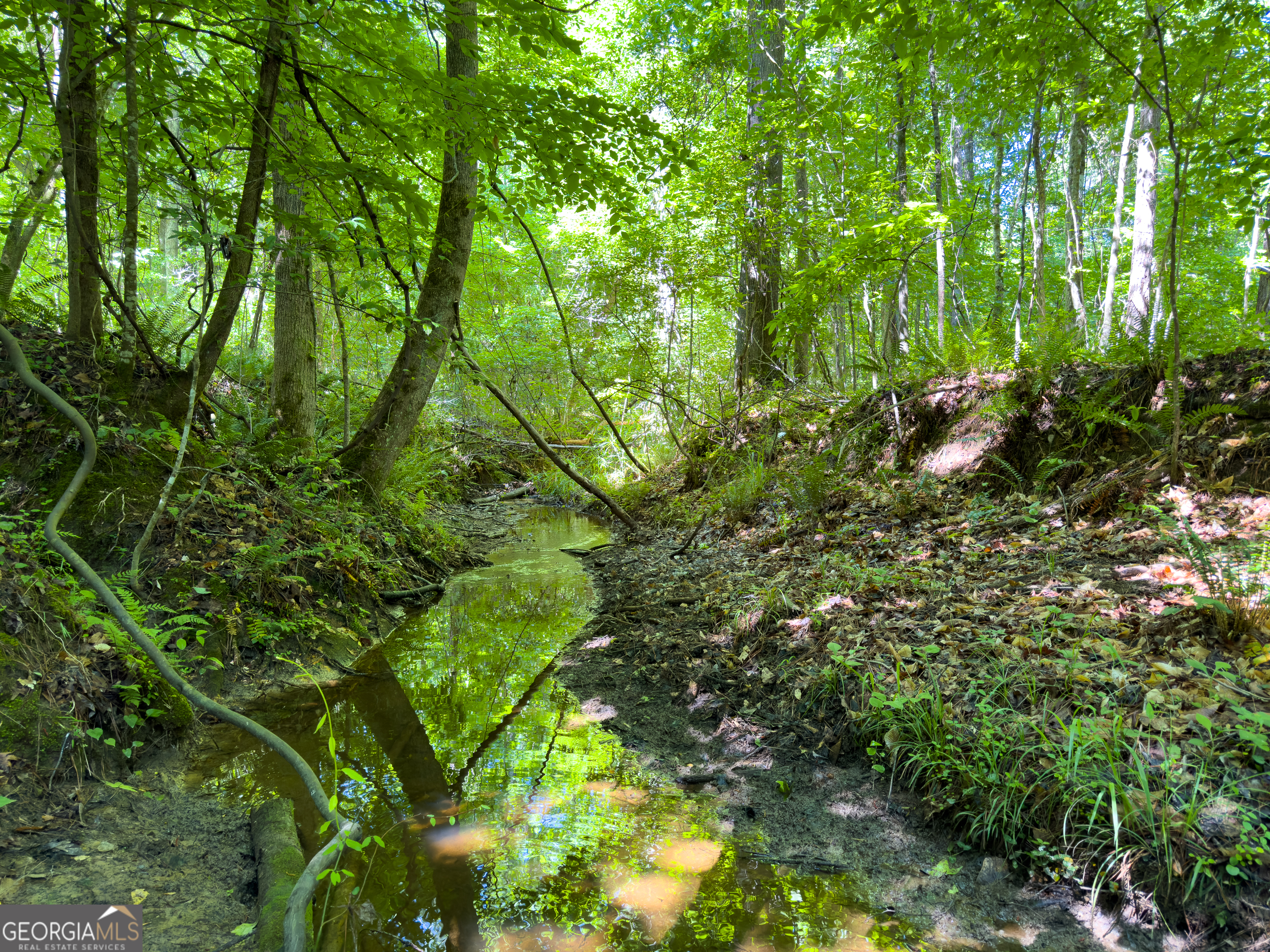 0 Dixon Road Sparta, GA 31087 - Photo 1 of 1