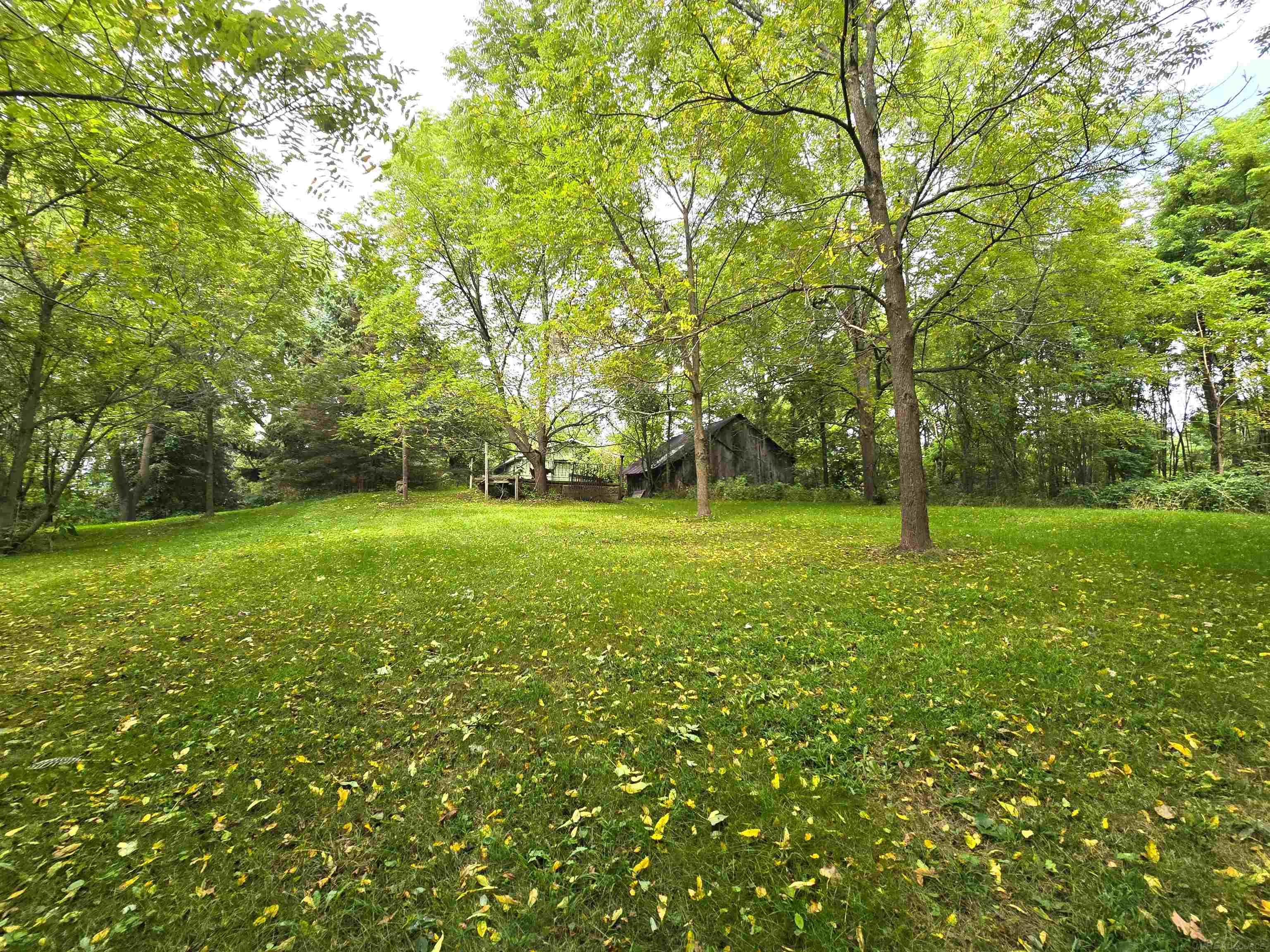 4883 Rochester Road Dryden, MI 48428 - Photo 12 of 87 50154079-fd1a04e1-3ccd-4838-85b1-f6e3e7a56a3d.JPG