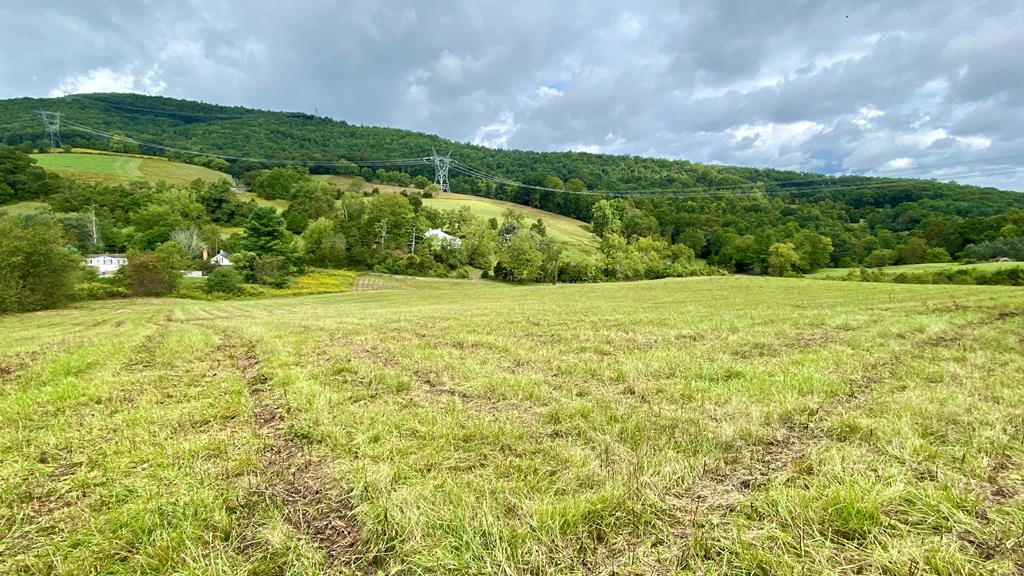 Tbd Castleton Road, Unit 62110 Max Meadows, VA 24360 - Photo 15 of 37 Gallery Image 15