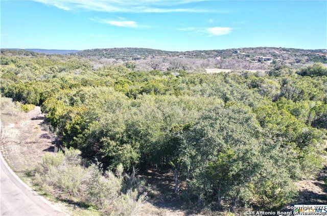 a view of a forest with mountains in the background