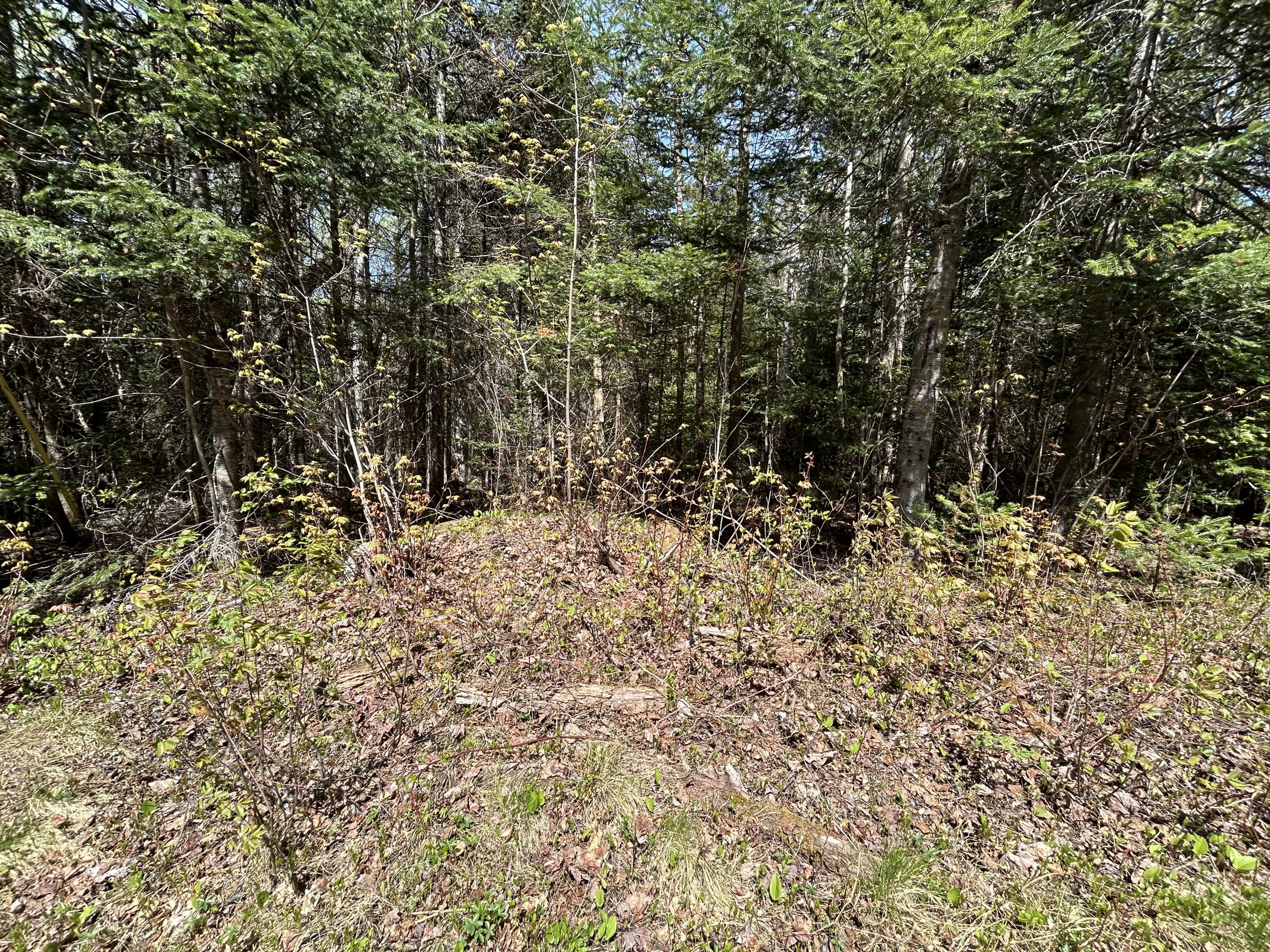 M17-l52-1 Stinchfield Road Sandy River Plt, ME 04970 - Photo 3 of 8 IMG_3429