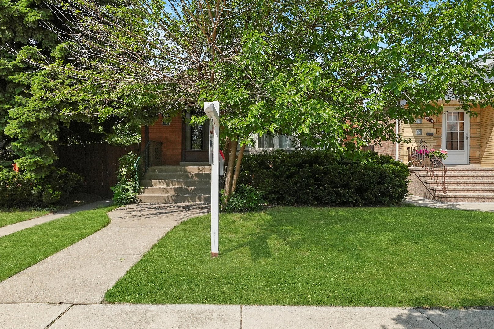 a backyard of a house with plants and large tree