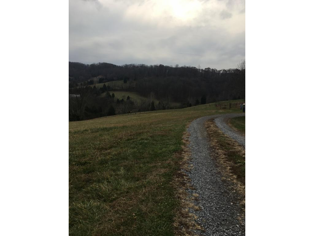 314 Clicktown Road Church Hill, TN 37642 - Photo 26 of 30 Gravel Driveway