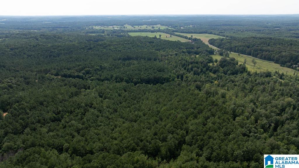 0 Wilkinson Road Fayette, AL 35555 - Photo 11 of 11