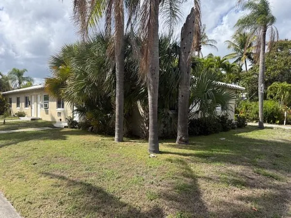 a view of a tree in front of a house