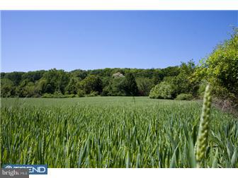 6967 Phillips Mill Road New Hope, PA 18938 - Photo 1 of 12