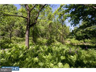 6967 Phillips Mill Road New Hope, PA 18938 - Photo 11 of 12
