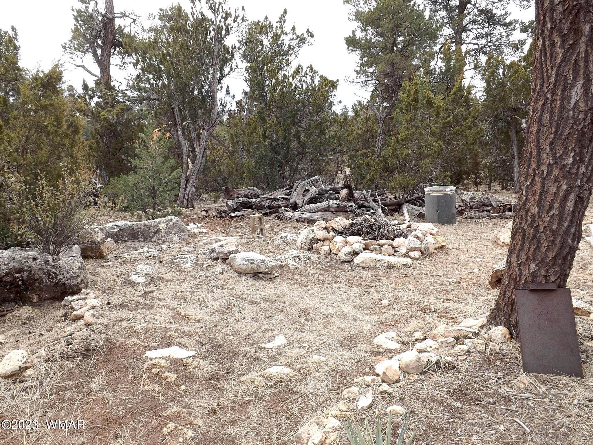 3157 Trails End Overgaard Az 85933 Overgaard, AZ 85933 - Photo 11 of 29