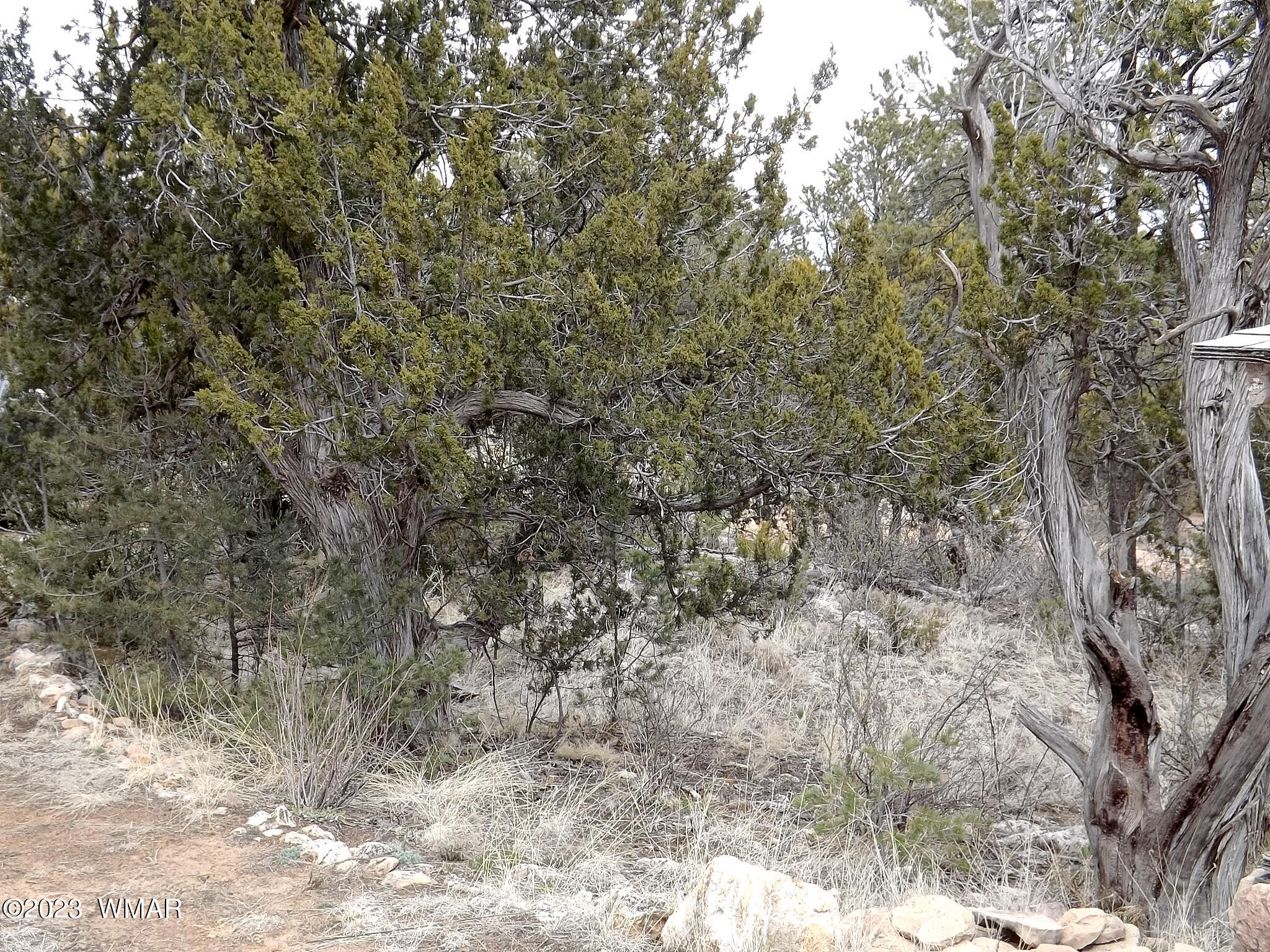 3157 Trails End Overgaard Az 85933 Overgaard, AZ 85933 - Photo 13 of 29