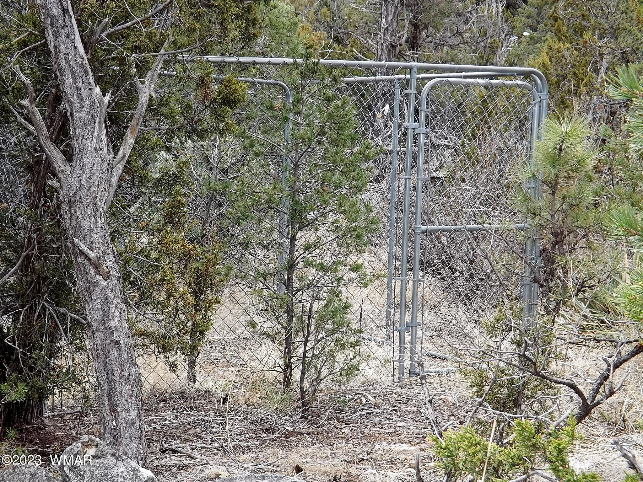 3157 Trails End Overgaard Az 85933 Overgaard, AZ 85933 - Photo 15 of 29