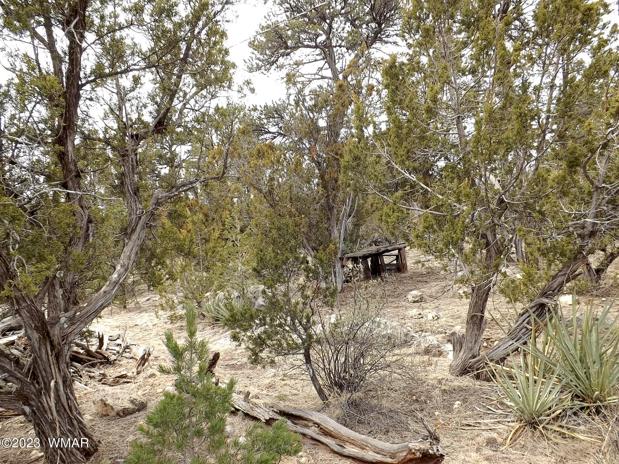 3157 Trails End Overgaard Az 85933 Overgaard, AZ 85933 - Photo 10 of 29