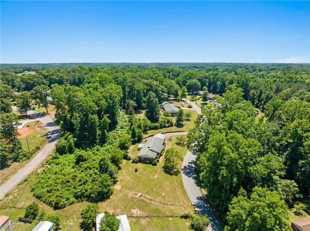 460 Carrol Lane Pickens, SC 29671 - Photo 5 of 40