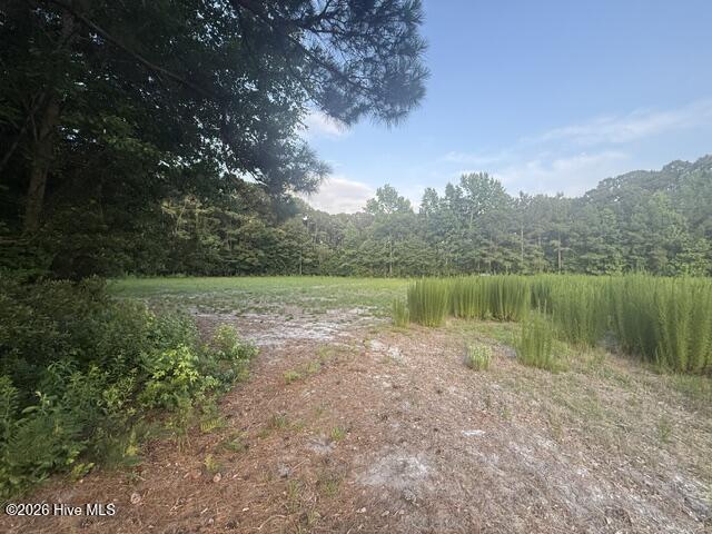 1005 Regal Road Goldsboro, NC 27534 - Photo 3 of 5