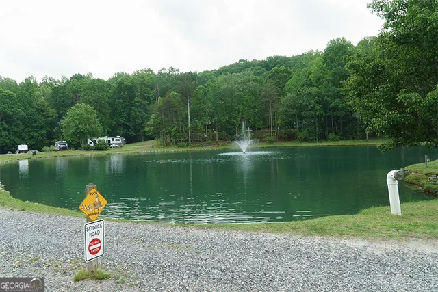 a view of a lake with a yard and a large trees