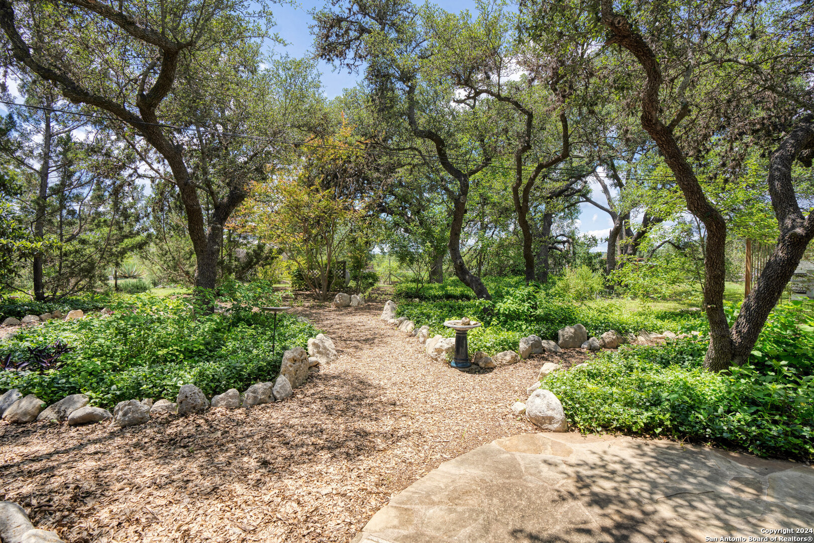 801 Mickle Creek Road Medina, TX 78055 - Photo 12 of 55 a view of a lake with a tree