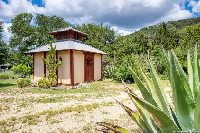 a view of a yard with plants