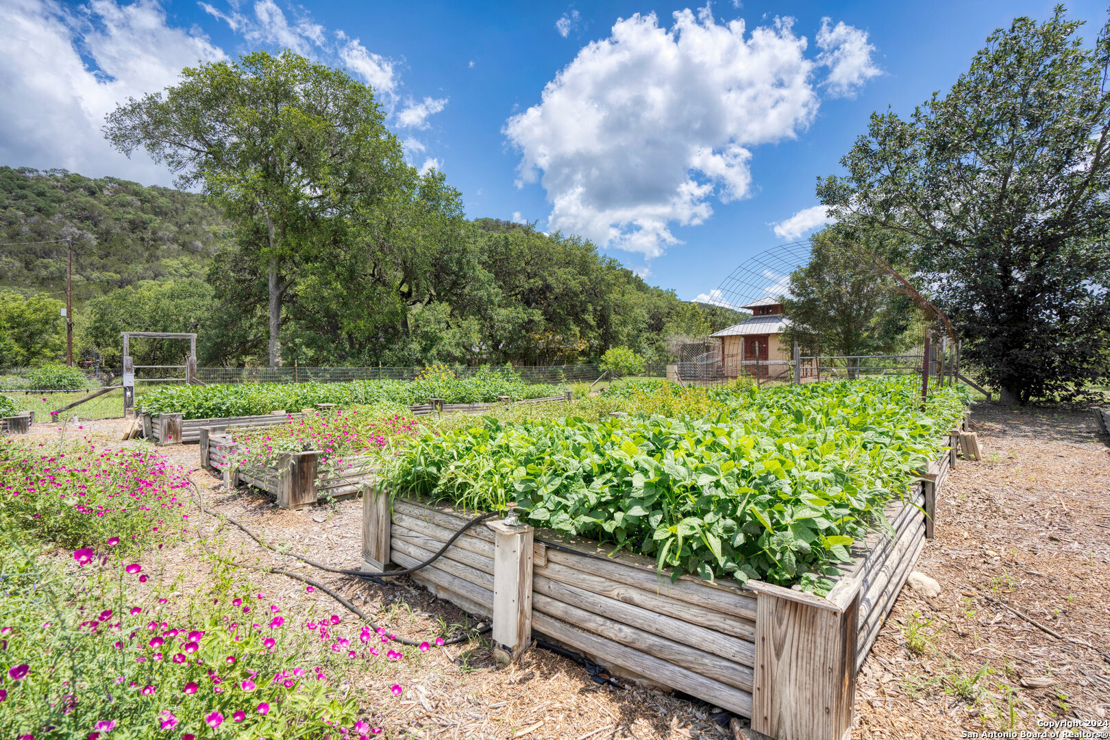 801 Mickle Creek Road Medina, TX 78055 - Photo 47 of 55