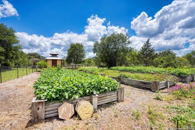 a view of a lake with a city