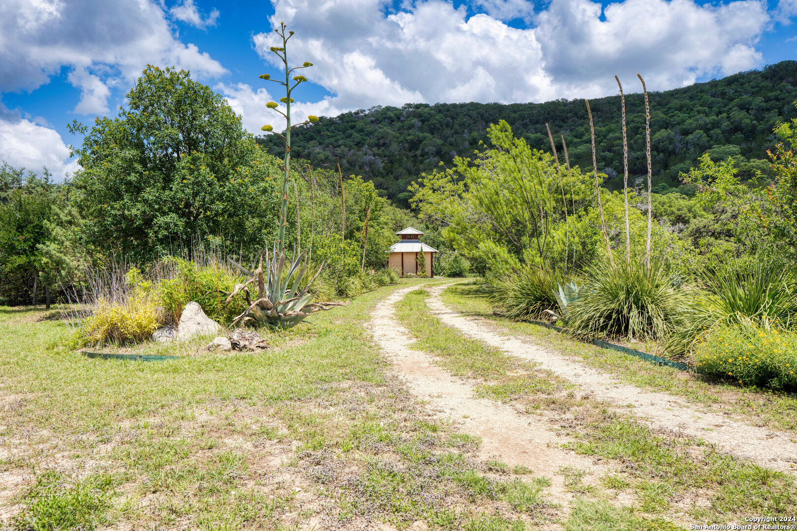 801 Mickle Creek Road Medina, TX 78055 - Photo 50 of 55 a view of a yard with plants