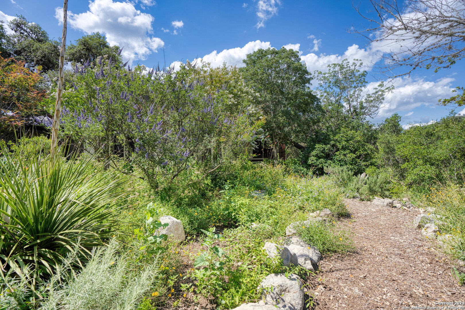 801 Mickle Creek Road Medina, TX 78055 - Photo 51 of 55 a view of a garden with a tree