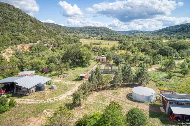 a view of a yard with a tree