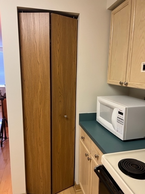 201 South Maple Avenue, Unit 411 Oak Park, IL 60302 - Photo 11 of 18 a view of a storage and utility room with washer and dryer