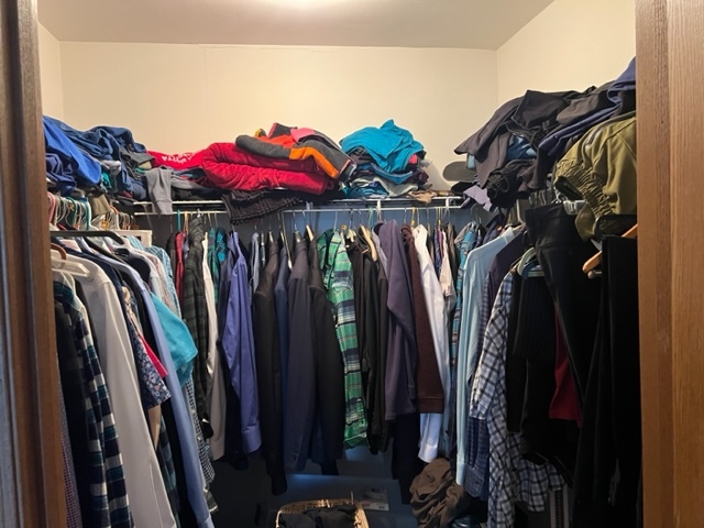 201 South Maple Avenue, Unit 411 Oak Park, IL 60302 - Photo 14 of 18 a view of walk in closet with clothes and shoes