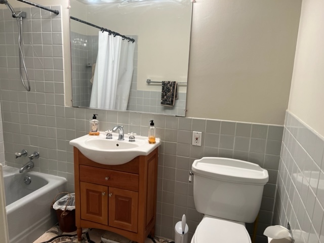 201 South Maple Avenue, Unit 411 Oak Park, IL 60302 - Photo 16 of 18 a bathroom with a sink a toilet and mirror