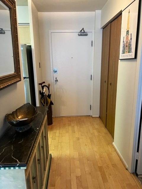 201 South Maple Avenue, Unit 411 Oak Park, IL 60302 - Photo 8 of 18 a view of a kitchen