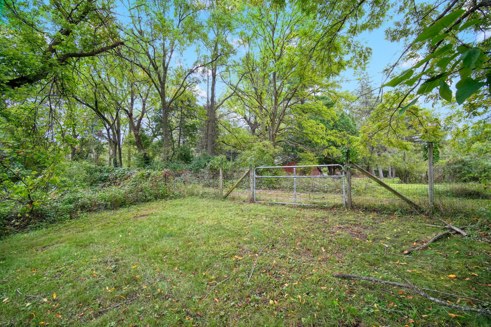 12225 Watkins Road Manchester, MI 48158 - Photo 69 of 83 33-web-or-mls-DSC00705