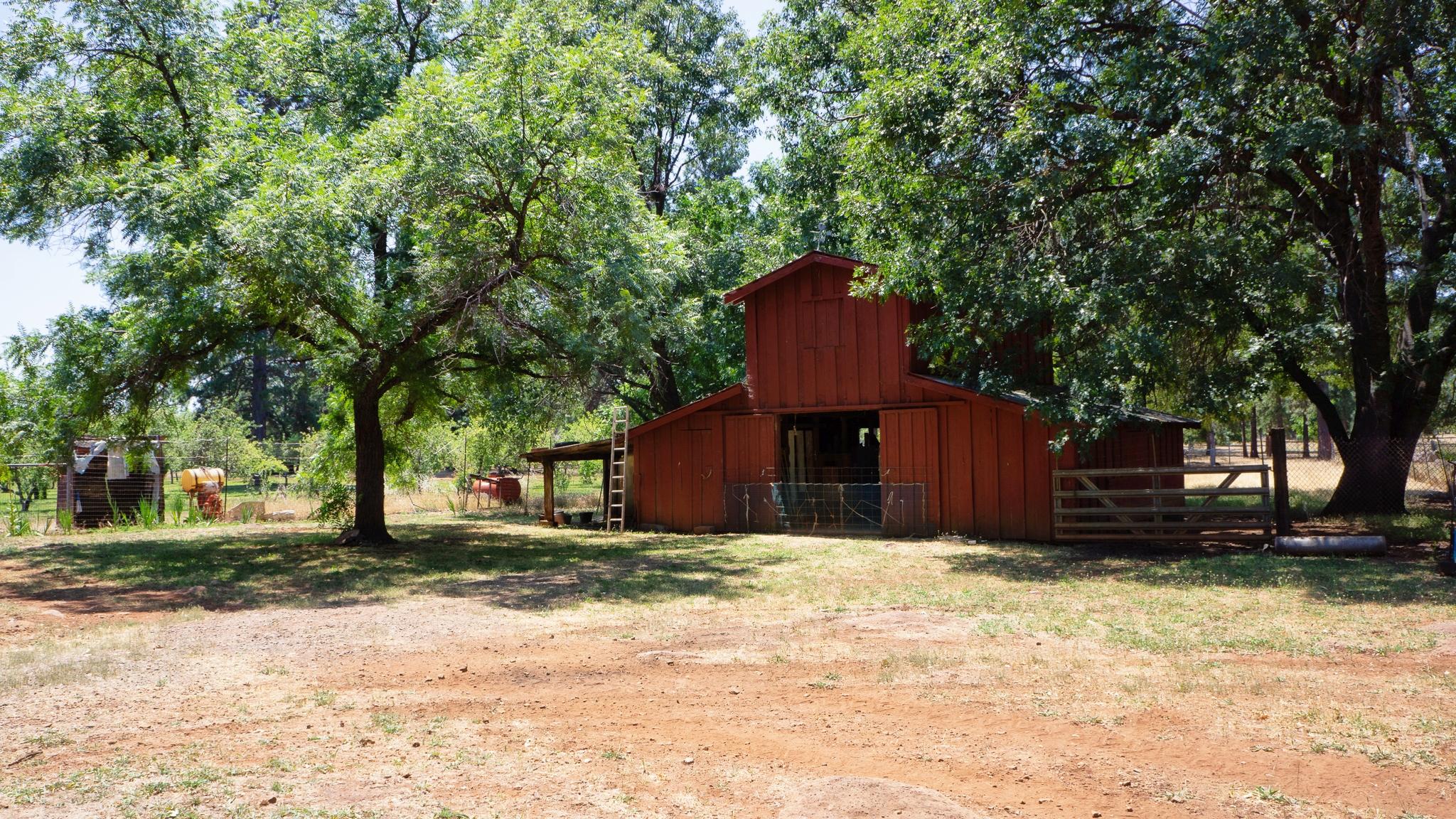 21795 Graham Road Manton, CA 96059 - Photo 15 of 95 2nd Red Barn