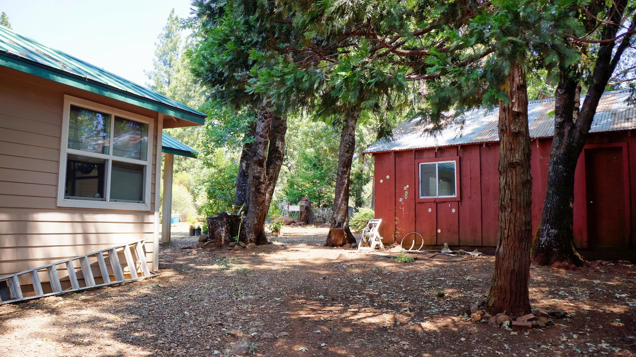 21795 Graham Road Manton, CA 96059 - Photo 25 of 95 Exterior Home and She-Shed View