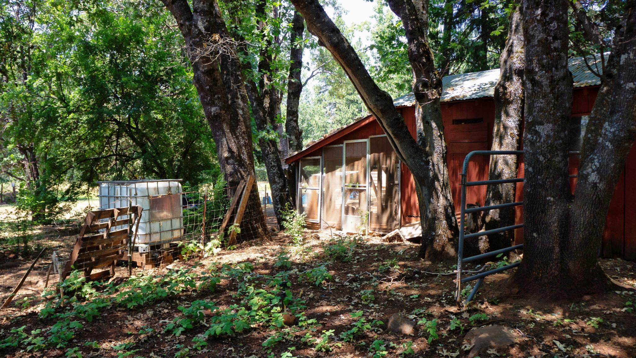 21795 Graham Road Manton, CA 96059 - Photo 67 of 95 Chicken Coop Outbuilding