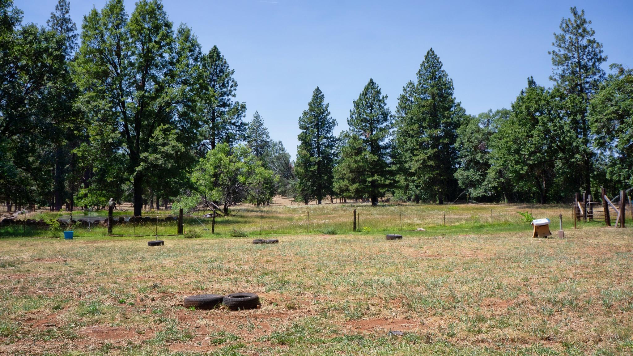 21795 Graham Road Manton, CA 96059 - Photo 77 of 95 Wide Open Spaces
