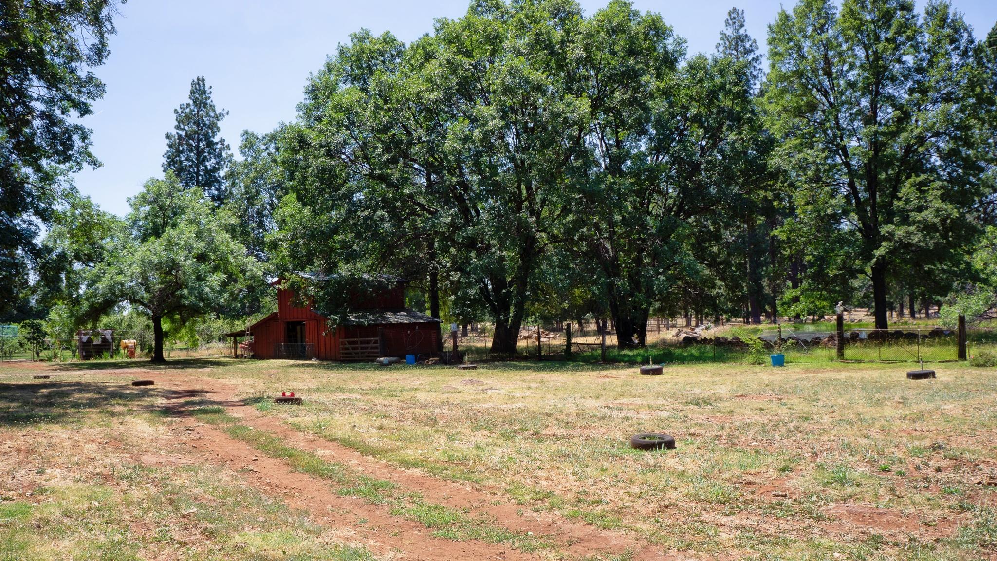 21795 Graham Road Manton, CA 96059 - Photo 79 of 95 View of 2nd Red Barn
