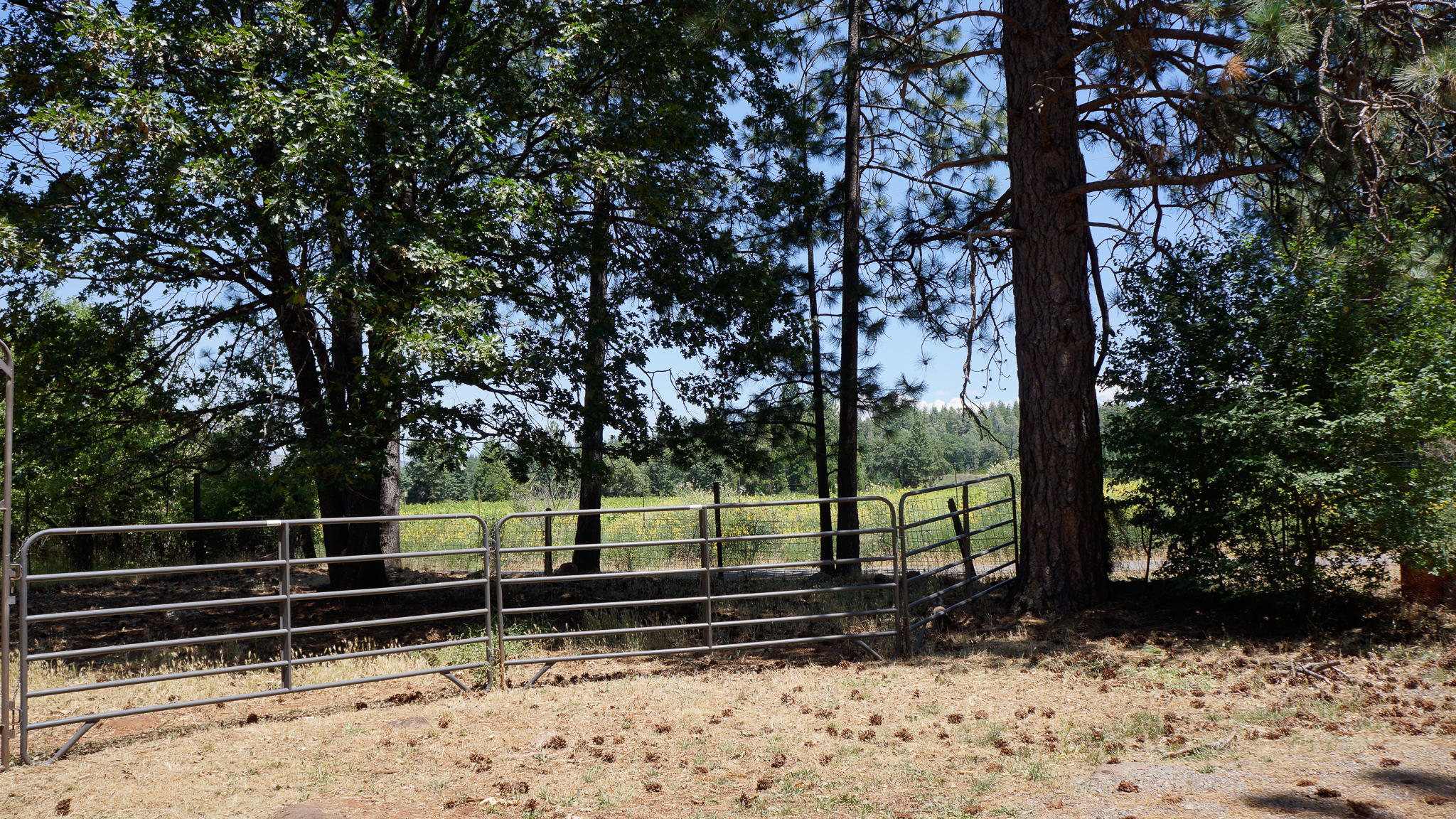 21795 Graham Road Manton, CA 96059 - Photo 86 of 95 Fenced Area