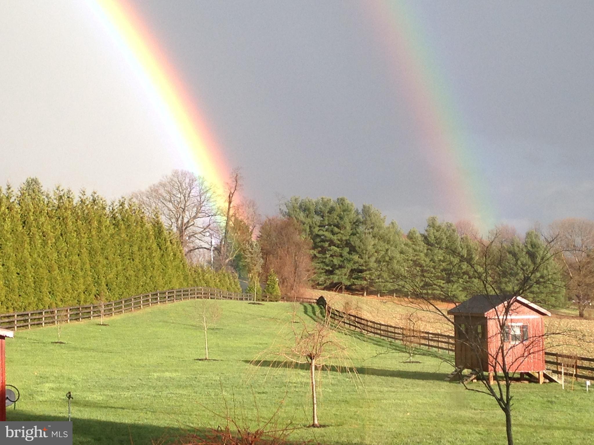 3919 West Chapel Road Aberdeen, MD 21001 - Photo 12 of 63 Outdoor Oasis