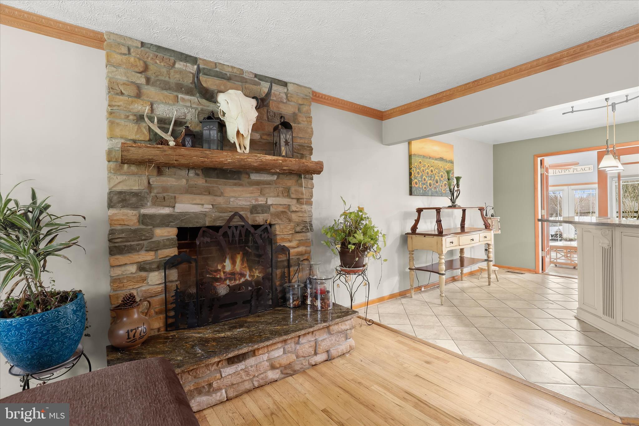 3919 West Chapel Road Aberdeen, MD 21001 - Photo 20 of 63 Wood Burning Fireplace