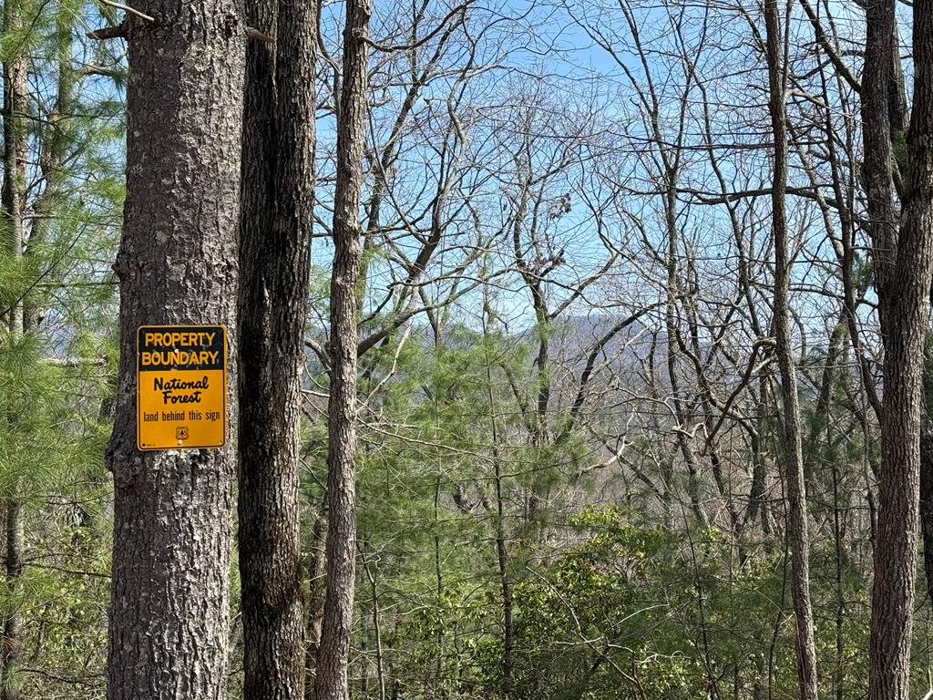 0 Hiwassee Dam Access Road Murphy, NC 28906 - Photo 1 of 7 Main View
